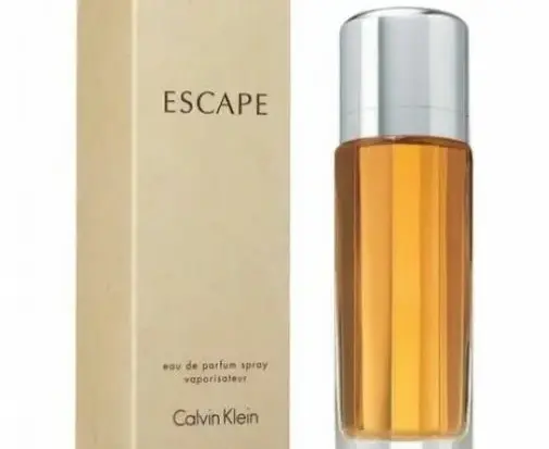 Escape Edp 100ml Spray