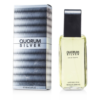 Quorum Silver Edt 100ml Spray