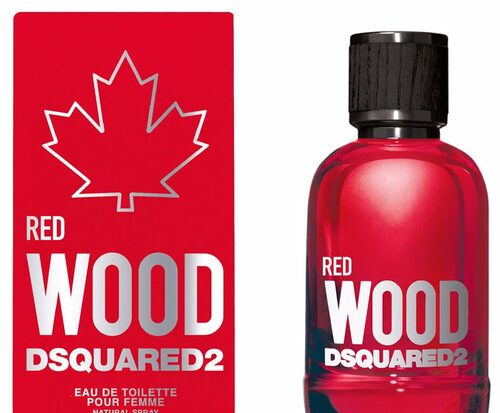 Red Wood Dsquared2 Edt 100ml Spray