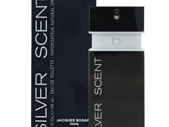 Silver Scent Edt 100ml Spray